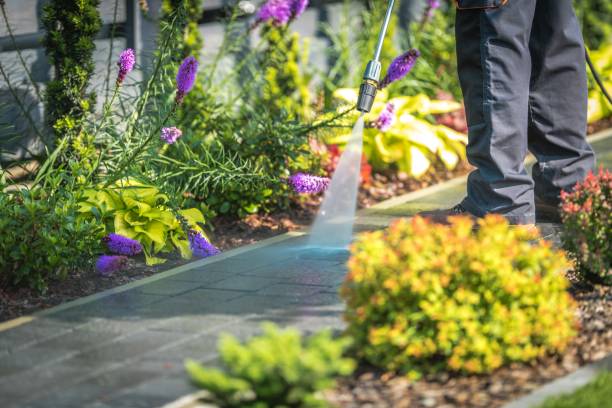 Best Fence Cleaning and Maintenance in Honolulu, HI